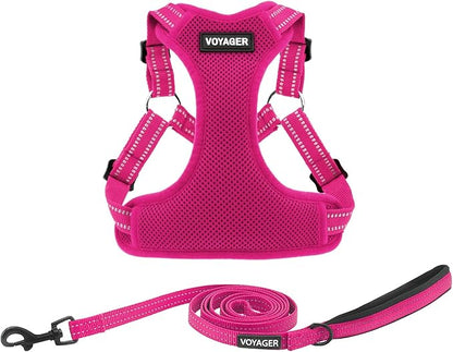 Best Pet Supplies Voyager Adjustable Step-in Flex Breathable Mesh Dog Harness for Small Medium Large Dogs Leash Set (Fuchsia), L