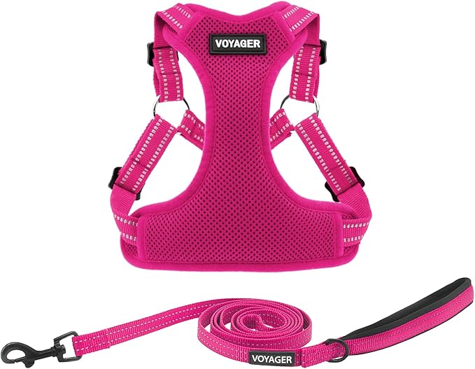 Best Pet Supplies Voyager Adjustable Step-in Flex Breathable Mesh Dog Harness for Small Medium Large Dogs Leash Set (Fuchsia), S