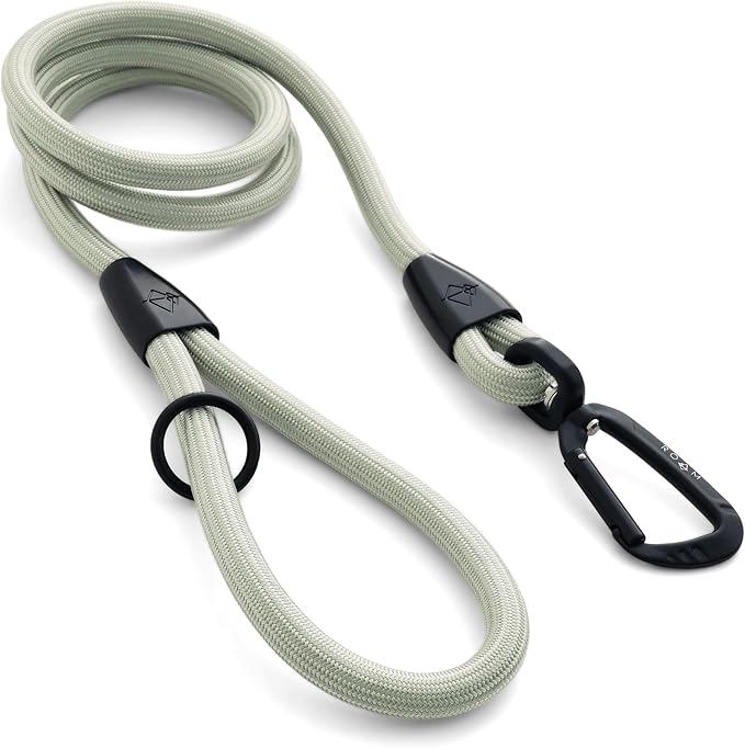 MADE TO ROAM Premium Everyday Leash - Ultra Soft Dog Leash with Aviation Aluminum Carabiner for Small, Medium, Large Dogs - Eucalyptic Glow, 4ft (Metal Clamps)