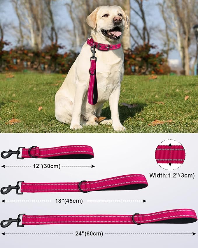 Joytale Strong Short Dog Leash 1FT, 1.2 Inch Wide, Heavy Duty, Padded Handle for Traffic Control, Reflective Leash for Medium and Large Dogs Walking Training,Hot Pink