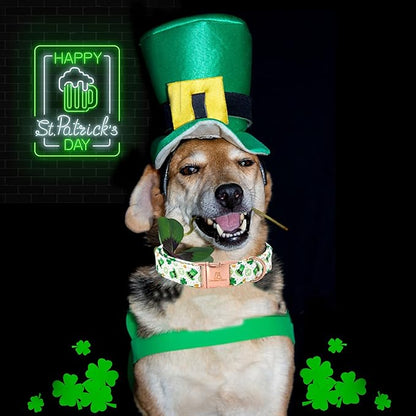 Lionheart glory St. Patrick Dog Collar, Clover Green Collars for Large Dogs Spring Adjustable Heavy-Duty Dog Collar Pet Gift