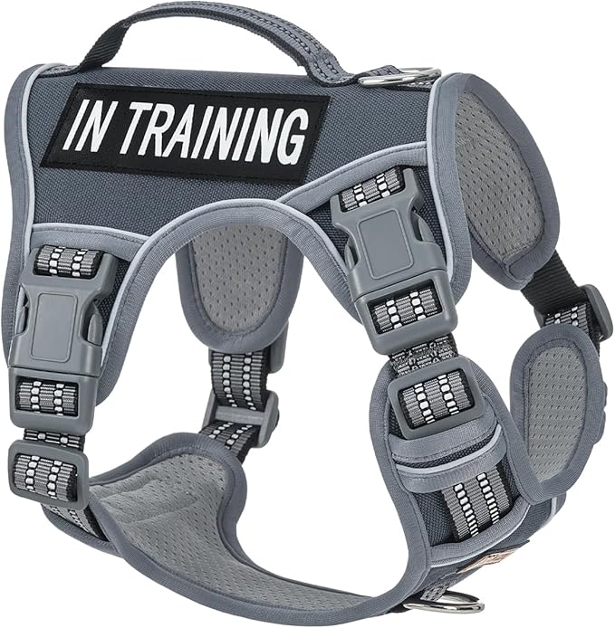No-Pull Dog Harness for Small Dog Breeds, Anti-Escape Easy Walking Reflective Adjustable Lightweight Dog Vest with Breathable Oxford Material, Easy on Easy Off with Neck Buckle, Gray XS