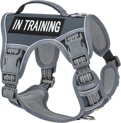 No-Pull Dog Harness for Small Dog Breeds, Anti-Escape Easy Walking Reflective Adjustable Lightweight Dog Vest with Breathable Oxford Material, Easy on Easy Off with Neck Buckle, Gray XS