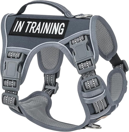 No-Pull Dog Harness for Small Dog Breeds, Anti-Escape Easy Walking Reflective Adjustable Lightweight Dog Vest with Breathable Oxford Material, Easy on Easy Off with Neck Buckle, Gray XS