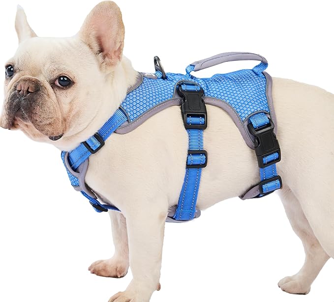 Huntboo Escape Proof Dog Harness, Escape Artist Harness, Reflective Dog Harness with Handle, Durable,Adjustable Vest for Small Medium Large Dogs Walking, Training, and Running Gear(Sea Blue,M)