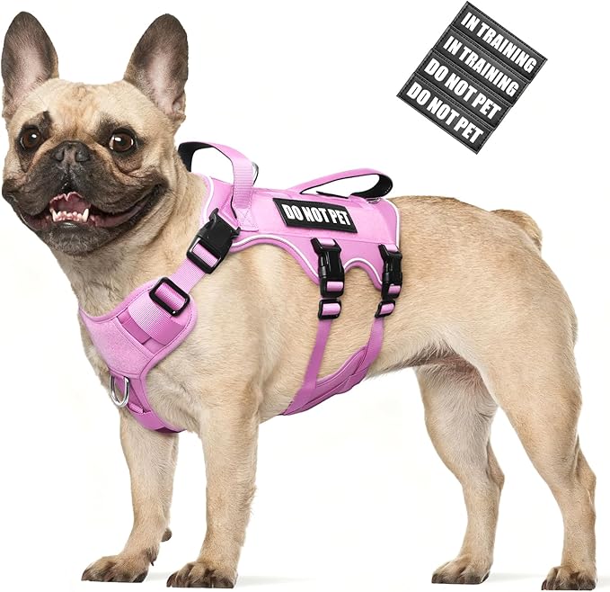 WINSEE Escape Proof Dog Harness, Service Working Molle Harness with Double Handle, Tactical Pet Vest with 4 Patches for Small Medium Large Dogs Walking Hiking Hunting