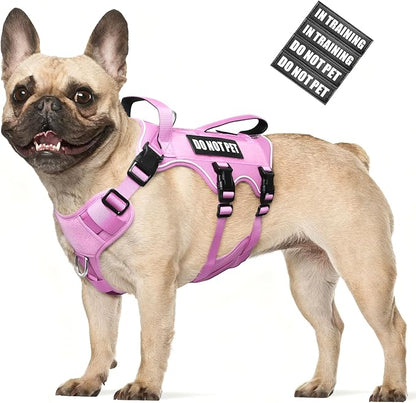 WINSEE Escape Proof Dog Harness, Service Working Molle Harness with Double Handle, Tactical Pet Vest with 4 Patches for Small Medium Large Dogs Walking Hiking Hunting