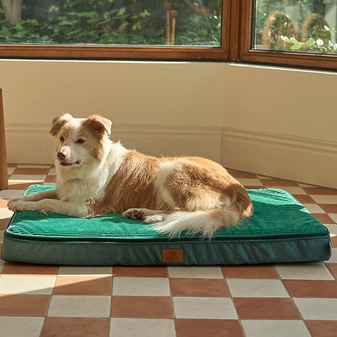 LIORCE Memory Foam XL Dog Bed - 4” Thick Orthopedic Beds for Extra Large Dogs - Waterproof Dog Bed with Removable Washable Cover & Wrap-Around Zipper - Ultimate Comfort and Easy Maintenance, Green