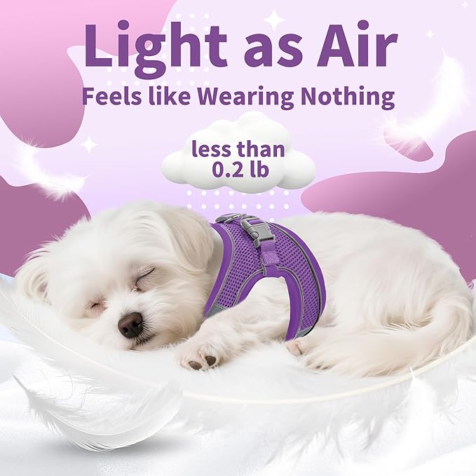 AIITLE Escape Proof Dog Harness - Step in Adjustable Dog Harness No Choke Over with Breathable Mesh and Quick-Release Buckle for All Weather- Outdoor Walking, Training for Medium Dogs Pure Purple XL