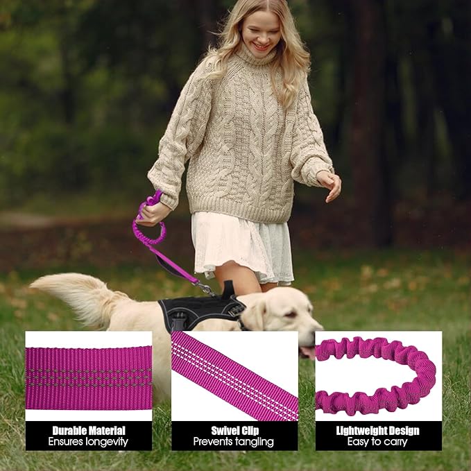 BUMBIN 6Ft Dog Leash Large Dogs, Bungee Dog Leash with 2 Handles, Heavy Duty Leashes for Medium Small Dogs, No Pull Shock Absorbing，with Car Seat Belt for Training, Pink
