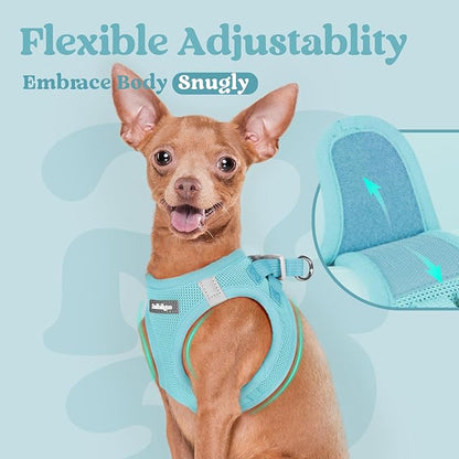 rabbitgoo Small Dog Harness, Step-in Soft Mesh Puppy Vest with Safety Buckle, Breathable Reflective Pet Harness for Small Sized Dogs, Mint Blue XS