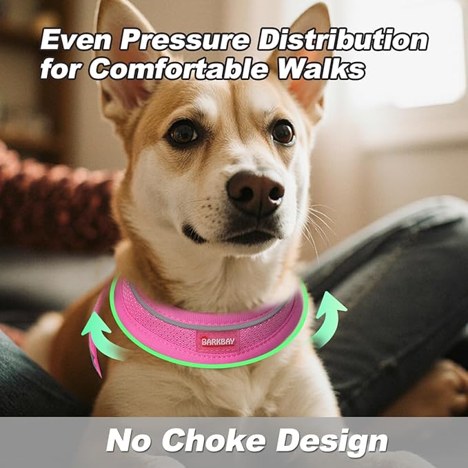 Dog Harness and Leash Set,Step in Small Sized Dog Harness,Soft Mesh,No-Chock,Reflective Adjustable,Secure with Hook & Loop Fastener,Puppy Vest for Small,Medium Dogs(Pink,L)