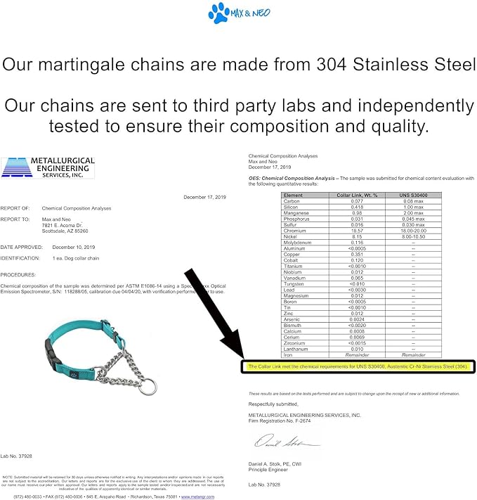 Max and Neo Stainless Steel Chain Martingale Collar - We Donate to a Dog Rescue for Every Collar Sold (Medium, Teal)