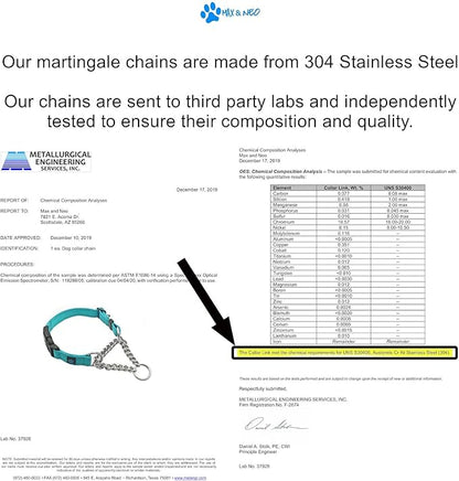 Max and Neo Stainless Steel Chain Martingale Collar - We Donate to a Dog Rescue for Every Collar Sold (Medium, Teal)