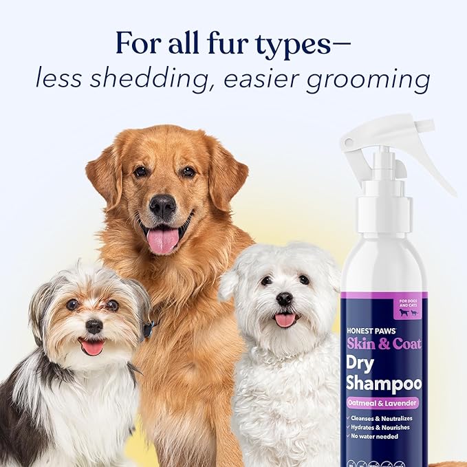 Honest Paws Dog Dry Shampoo - Waterless No Rinse Foaming Formula Reducing Itch Cleanse Hydrate Nourish Dry Skin and Smelly Coat Help Decrease Odor Shedding and Allergies - Oatmeal & Lavender - 8 fl oz