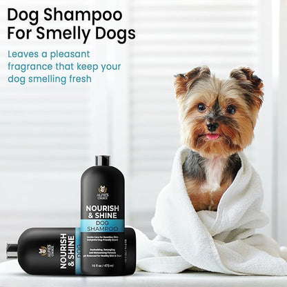 ALFIE'S CHOICE Dog Shampoo & Conditioner Set | 16 fl oz Each | Lavender & Rosemary with Biotin for Itchy Skin, Allergies & Odor | Moisturizing & Detangling for All Breeds