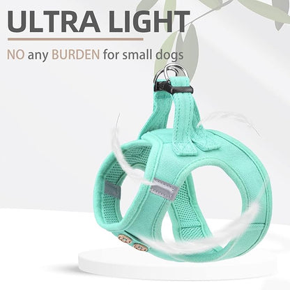 PUPTECK Dog Harness and Leash Set for Small Medium Dogs No Pull Step-in Soft Mesh Puppy Cat Vest Harnesses Reflective at Night, Denim Green XS
