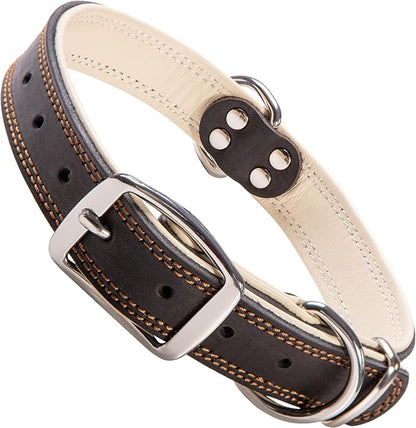 ADITYNA Heavy-Duty Leather Dog Collar for Extra-Large Dogs - Soft Padded for Comfort - Big Black Dog Collar for Walking, Training, and Hiking
