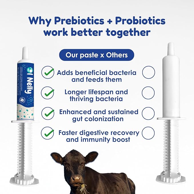 Ruminants Pre and Probiotic Paste (80g)- Pre and Probiotics with Vitamins and Minerals- 6 Strains and 8 Billion CFU- Immune and Gastro Health Support for All Ruminants: Bovines, Goats & More