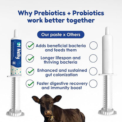 Ruminants Pre and Probiotic Paste (30 Pack, 80g Each)- with Vitamins and Minerals- 6 Strains and 8 Billion CFU- Immune and Gastro Health Support for All Ruminants: Bovines, Goats & More