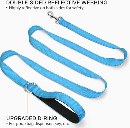 Joytale Double-Sided Reflective Dog Leash, 6 FT/5 FT/4 FT, Padded Handle Nylon Heavy Duty Leashes for Small & Medium Dogs Walking, Sky Blue, 6FT