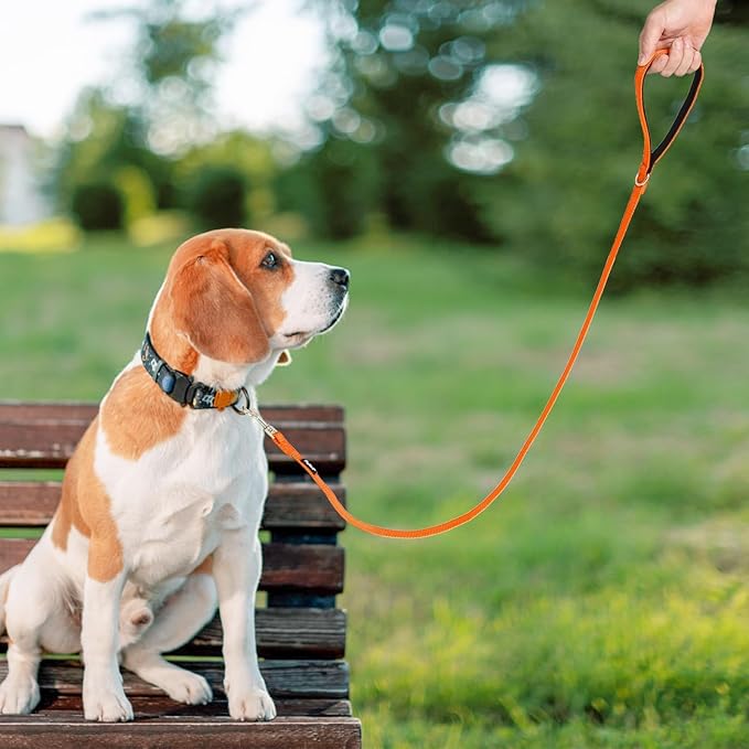 PUPTECK Reflective Dog Leash with Comfortable Padded Handle Durable Nylon Dog Lead for Small Medium and Large Dogs Cats Walking Running Training Outside, Orange