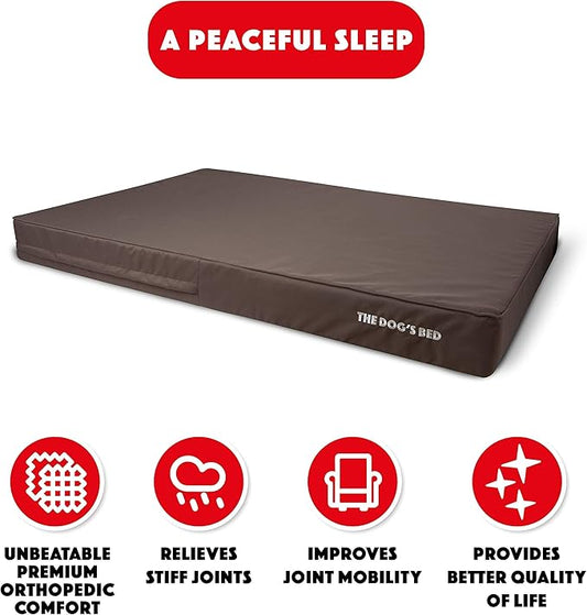 The Dog’s Bed Orthopedic Memory Foam Dog Bed, XXXL 6Inch Brown with Brown Piping, Pain Relief for Arthritis, Hip & Elbow Dysplasia, Waterproof Washable Cover, Veterinary Approved