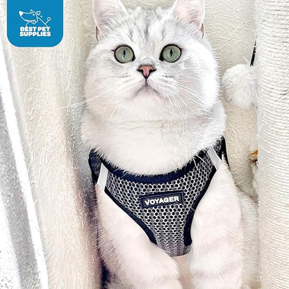Best Pet Supplies Voyager Step-in Air Harness - All Weather Mesh, Reflective, No Pull Harness for Dogs, Cats - Secure with Hook & Loop Fastener, Buckle, Double D-Rings - Gray 2-Tone, L