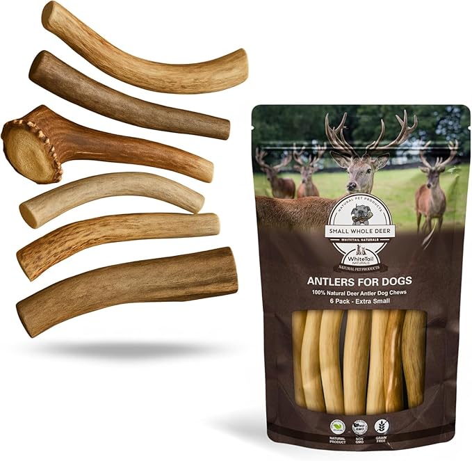 WhiteTail Naturals - Antlers for Extra Small Dogs (6 Pack) Deer Antler Dog Chew Bones for Extra Small Aggressive Chewers - Long Lasting Horn Chew Toys - Naturally Shed