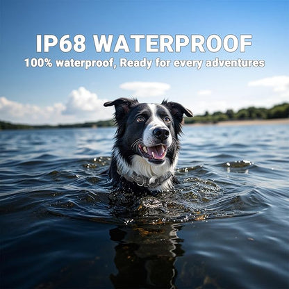 HDDTTZ AirTag Dog Collar, IP68 Waterproof Integrated Air Tag Dog Collars with Reflective, Ultra-Durable, Comfortable Padded, Heavy Duty Dog Collars for Small Medium Large Dogs, S (10.6"-13.6"), Black