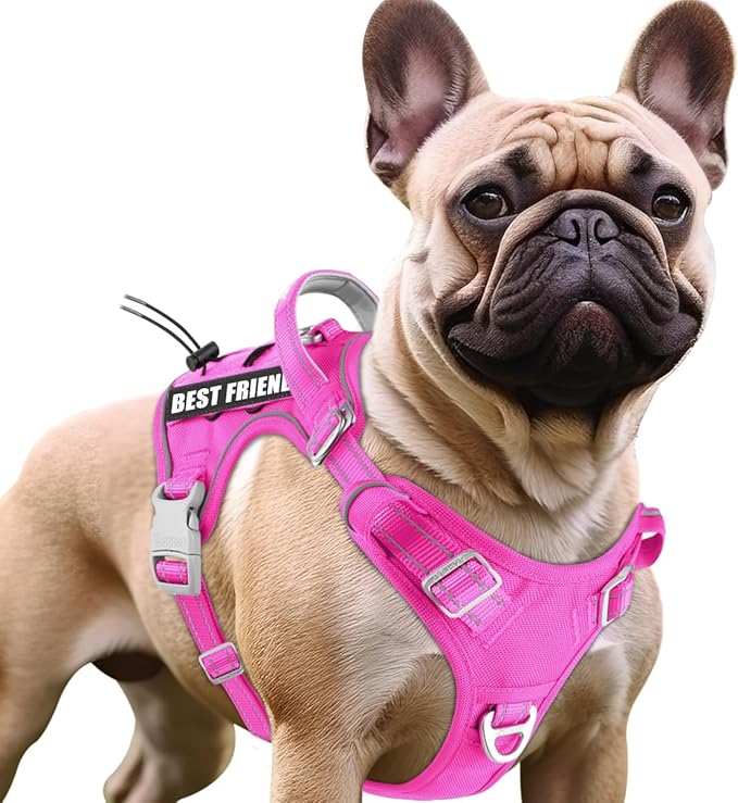 BARKBAY Service Dog Vest Tactical Dog Harness Medium Large Sized Dog Tags Personalized No Pull Adjustable Harness Reflective K9 Working Training Easy Control Military Molle System(Pink,S)