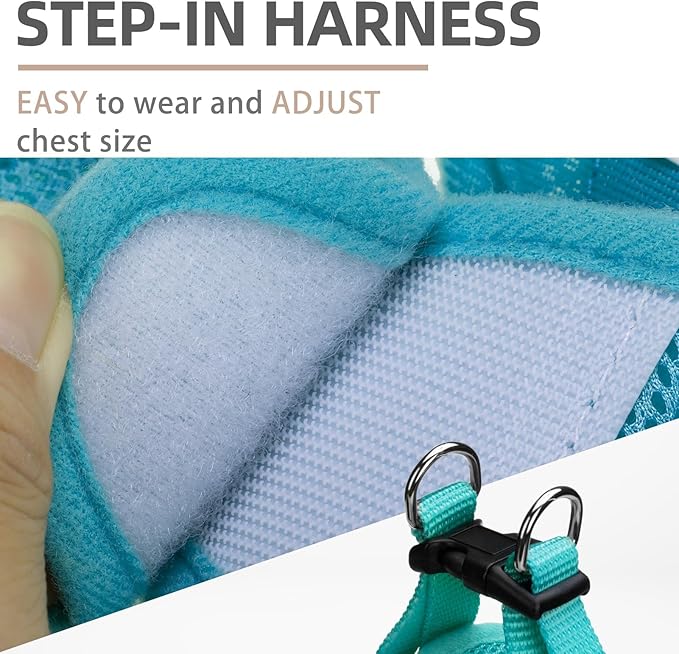 PUPTECK Adjustable Dog Harness Collar and Leash Set Step in No Pull Pet Harness for Small Medium Dogs Puppy and Cats Outdoor Walking Running, Soft Mesh Padded Reflective Vest Harnesses, Turquoise M