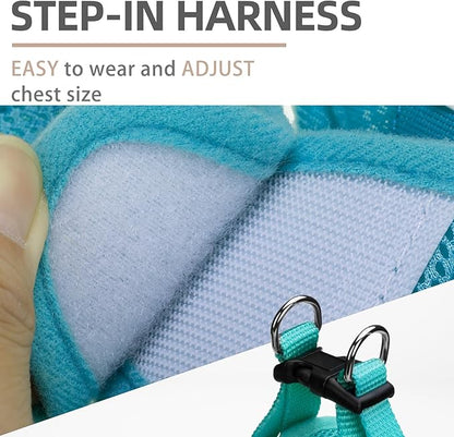 PUPTECK Adjustable Dog Harness Collar and Leash Set Step in No Pull Pet Harness for Small Medium Dogs Puppy and Cats Outdoor Walking Running, Soft Mesh Padded Reflective Vest Harnesses, Turquoise M