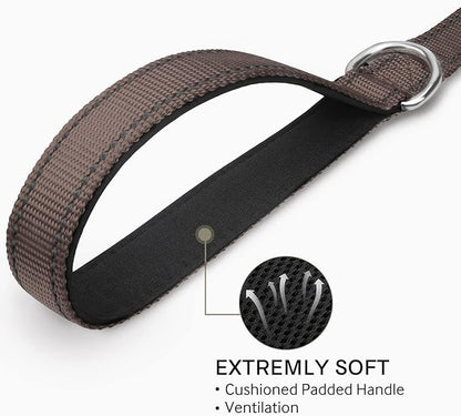 Joytale Double-Sided Reflective Dog Leash, 6 FT/5 FT/4 FT, Padded Handle Nylon Heavy Duty Leashes for Medium & Large Dogs Walking, Brown, 5FT