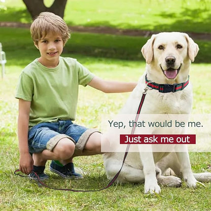 Elegant Luxury Dog Collar and Leash Set, Soft Pet Collars and Leashes for Small Dogs