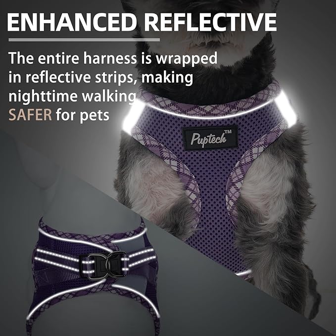 PUPTECK Dog Harness and Leash Set for Small Medium Dogs No Pull Step-in Soft Mesh Puppy Cat Vest Harnesses Reflective at Night, Upgraded New Purple S