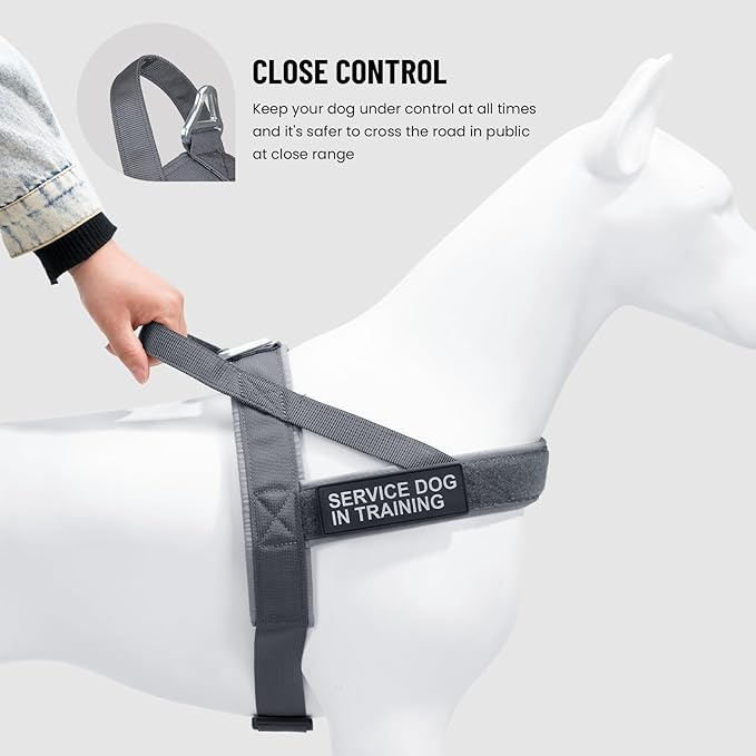 EXCELLENT ELITE SPANKER No Pull Dog Harness Padded Military Patrol Vest Adjustable Nylon Small Service Walking Dog Harness with Handle for Training Running(Grey-XS)