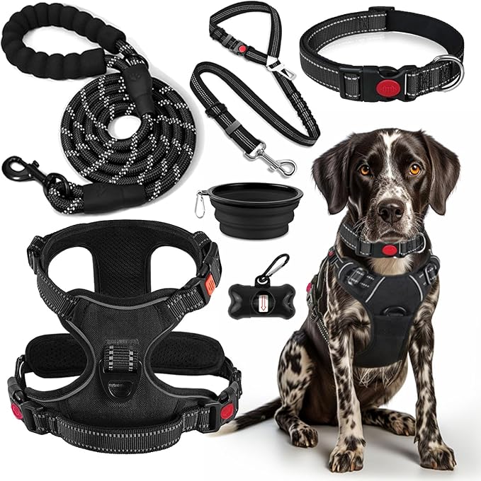 LOBEVE No Pull Dog Harness, Collar & Leash Set | Includes Dog Seat Belt, Collapsible Bowls & Poop Bag Dispenser. Ideal for Training, Walking, Hiking. Fits Small to Large Dogs(Black-M)