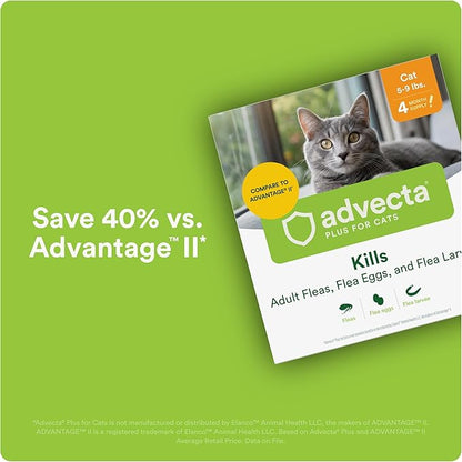 Advecta Plus Topical Flea Treatment for Cats and Kittens, Flea Prevention and Control, Small & Large, Fast-Acting Waterproof Drops, 2-Month Supply