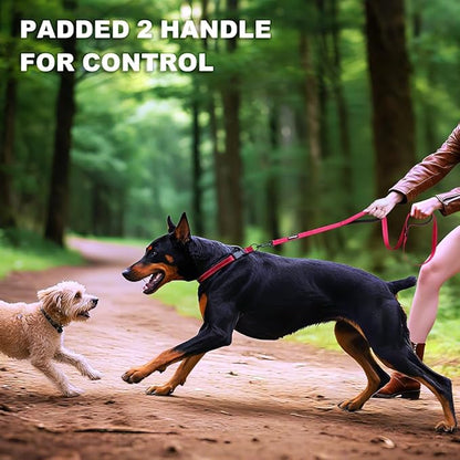 Heavy Duty Double Handle Dog Leash 6 ft Long for Total Control, Padded 2 Handle, Reflective Training Lead for Medium Large Dogs (Red, 6 FT)