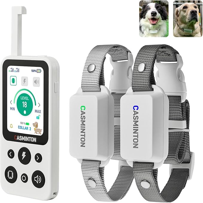CASMINTON Shock Collar for 2Dogs [CRS01Pro]126 Training Levels, 4 Powerful Modes With 2.8-inch LCD high-definition display100% Safe Training Collar for Large Medium Small Dogs IPX7 Waterproof E Collar