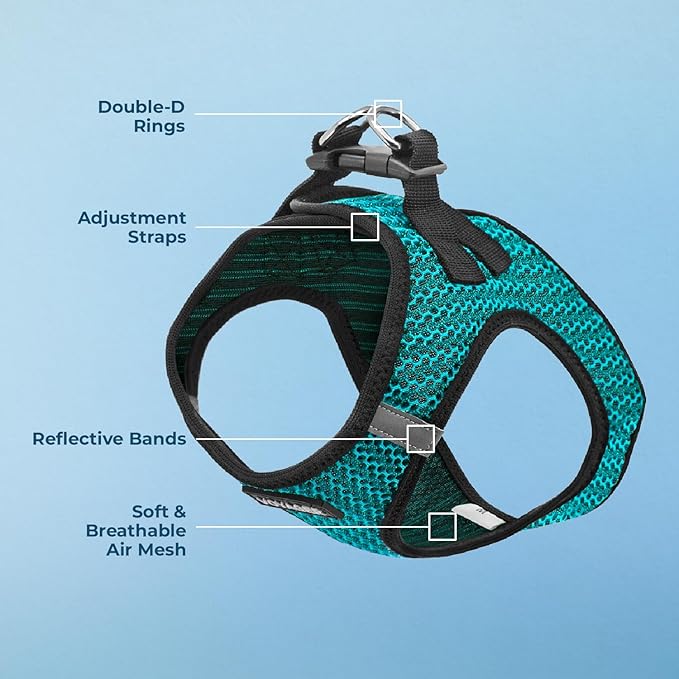 Best Pet Supplies Voyager Step-in Air Harness - All Weather Mesh, Reflective, No Pull Harness for Dogs, Cats - Secure with Hook & Loop Fastener, Buckle, Double D-Rings - Turqupise 2-Tone, XL