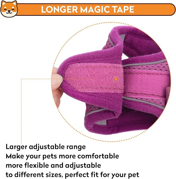Dog Harness with Leash Set, No-Pull Step-in Reflective Pet Harness with 1 Leash Clips, Adjustable Soft Padded Easy Walk Dog Vest for Small Medium Large Dogs, Cats(Rose Red, Large)