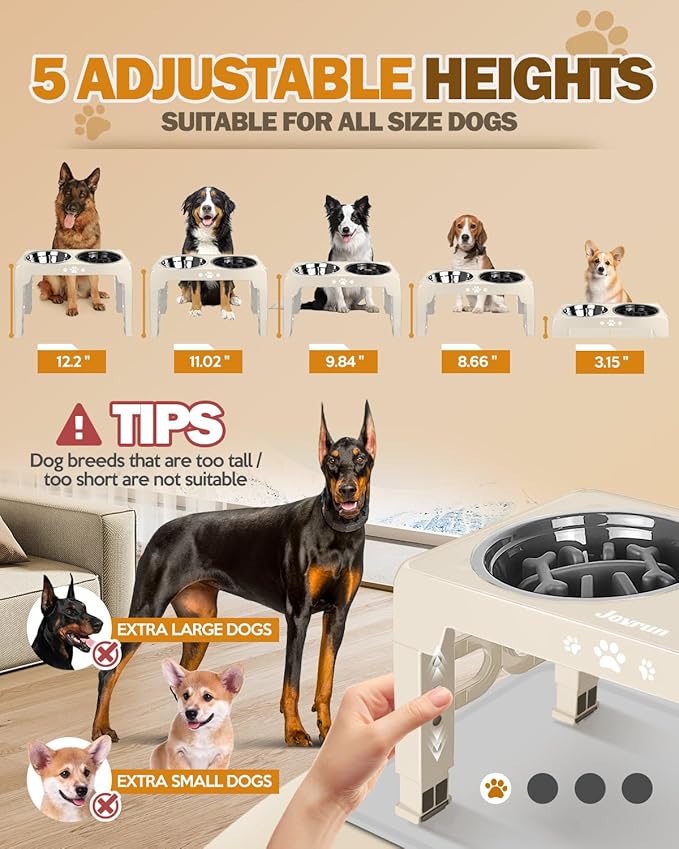 Elevated Dog Bowls, Dog Feeder with 1*Stainless Steel Dishes & 1*Slow Feeder Bowl, 5 Heights Adjustable Raised Stand for Medium Large, Food Dishes with Non-Slip Feet