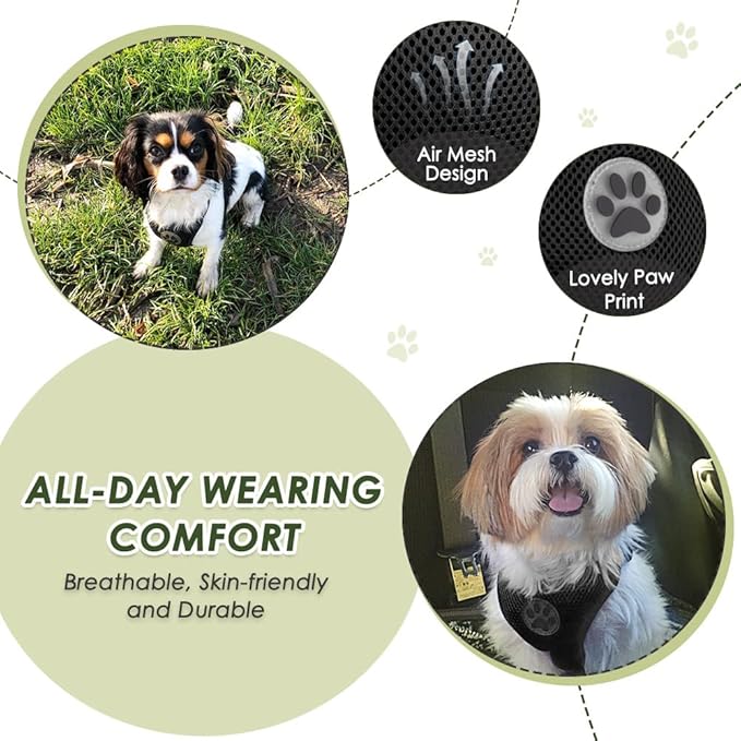 Lukovee Dog Seat Belt for Car, Adjustable Dog Car Harness for Large Medium Small Dogs, Soft Padded & Breathable Mesh Dog Seatbelt with Car Vehicle Connector Strap (Black Double Clip,Small)