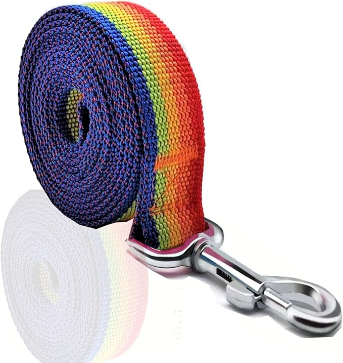 Nylon Dog Leash 10 Feet Long, Walking Training Dog Leashes for Medium Large Dogs, 1 Inch Wide (Rainbow)