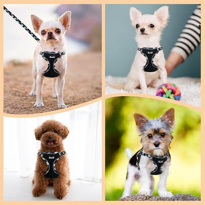 SlowTon Small Dog Harness - No Pull Dog Harness and Leash Set, Soft Mesh Lightweight Puppy Vest Harnesses, Adjustable Pet Harnesses for XXS XS Small Medium Easy Walk Hiking (Black, M)