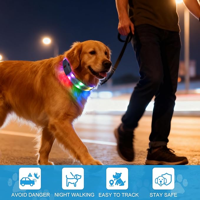 Lighted Dog Collar, Rechargeable Light Up Pet Collar, Waterproof LED Dog Collar Glow in The Dark, Make Pet Visible and Safety for Night Walking for Small Medium Large Dogs (Red)