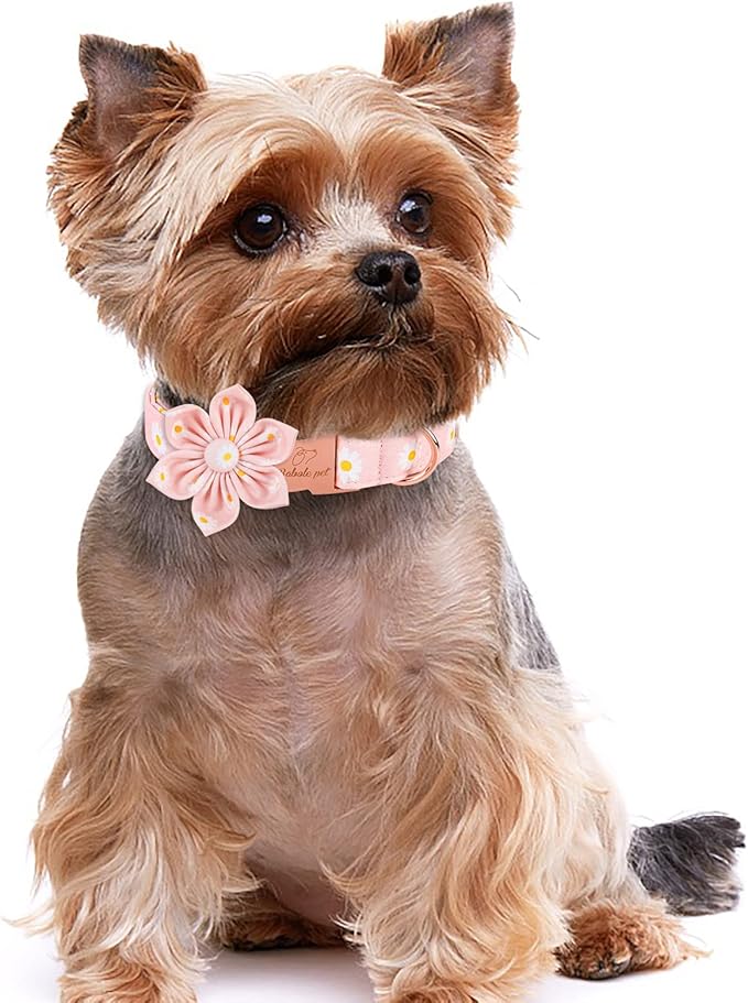 Daisy Dog Collar with Flower Bow Tie, Elegant Spring Flower Bowtie Dog Collar, Durable Adjustable Cotton Pet Collar for Small Medium Large Dogs M