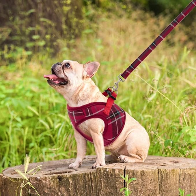 PUPTECK Soft Mesh Dog Harness and Leash Set Step-in Plaid Puppy Padded No Pull Vest Harness for XS Small Medium Sized Dogs Cats Outdoor Walking, Red S
